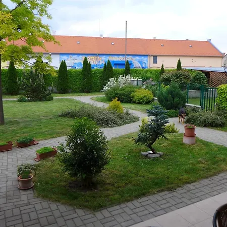 بيت ضيافة Hof