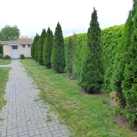 بيت ضيافة Hof